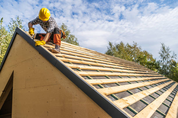 Best Roof Repair Services  in Alanuk, AK