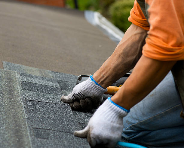 Best Shingle Roofing Installation  in Alanuk, AK